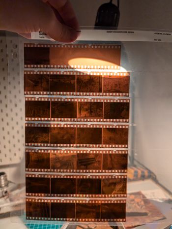 Ein Folie mit 35mm Farbnegativfilmstreifen im Gegenlicht